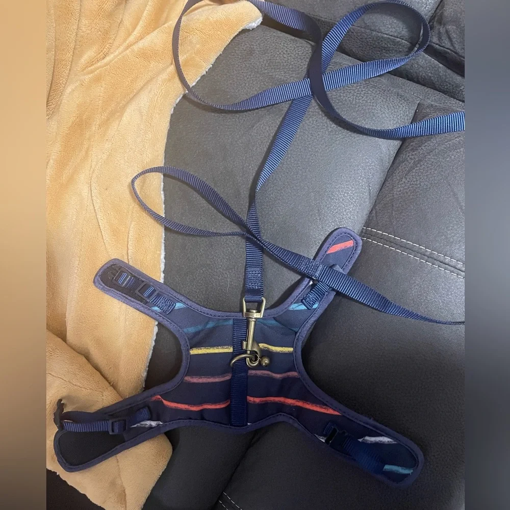 Kitten Harness